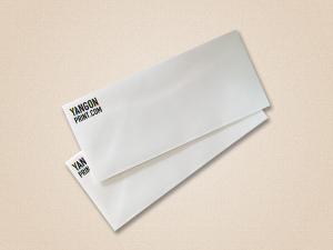 DL Envelope (9 x 4.2 in)
